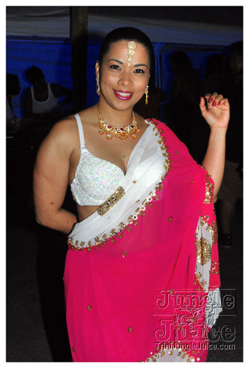 radica_2011-029