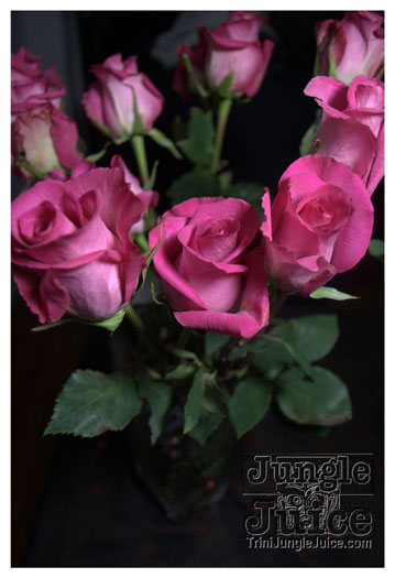 velvet_feb13-022
