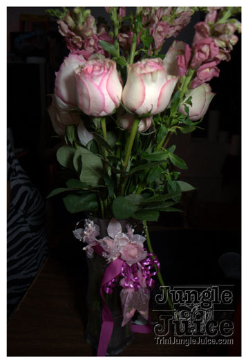 velvet_feb13-024