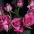 velvet_feb13-022