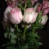 velvet_feb13-024