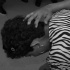 wotlessness_jun12-018