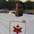 charlotte_caribbean_festival_2011-213