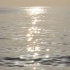 svg_limerz_cruise_jul2-218