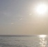 svg_limerz_cruise_jul2-219
