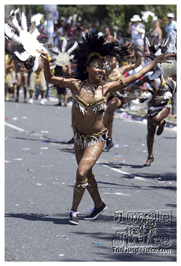 caribana_parade_2011-158