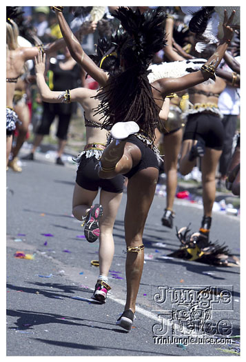 caribana_parade_2011-159