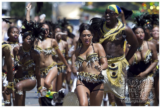 caribana_parade_2011-160