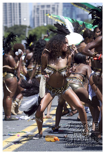 caribana_parade_2011-163