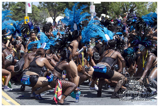 caribana_parade_2011-188