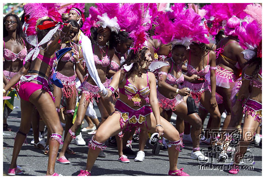 caribana_parade_2011-207