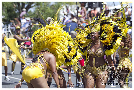 caribana_parade_2011-222