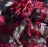 caribana_parade_2011-193