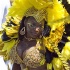 caribana_parade_2011-223