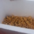 cocoa_2011_jul17-288