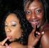 misty_ridge_2011-244