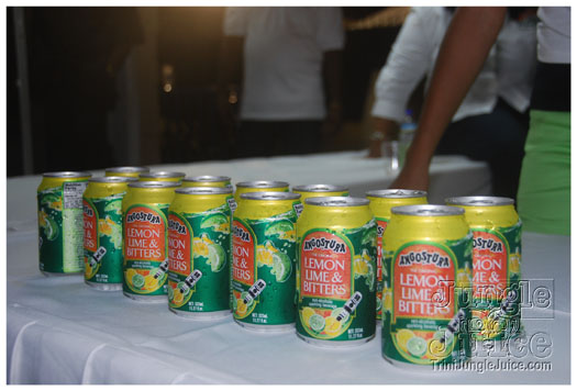 one_fete_2011_part2-218