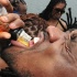 silent_morning_trini_2011-222