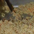 soca_sensation_feb19-085