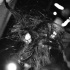 sos_2011-187
