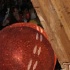 stumped_2011_jan22-031