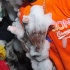 poison_wet_fete_2011-040