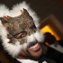 masque_nov17-131