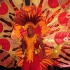 miami_carnival_2012_part3-272
