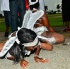 miami_carnival_2012_part4-238