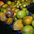scruples_blocko_miami_oct10-003