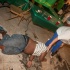 maracas_cooler_fete_aug12-219