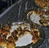 sparkle_jan1-136