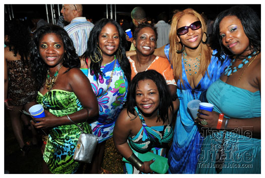 beach_house_2012_part3-228