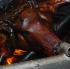 rumland_2012_aug25-196