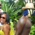 shades_2012-176