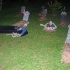 spooked_2012-013