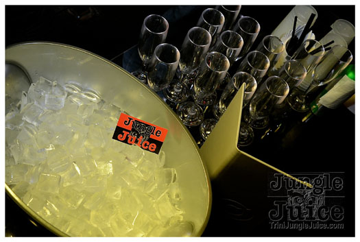 howard_homecoming_party_oct19-123