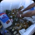 demolition_crew_cooler_fete_2013-005