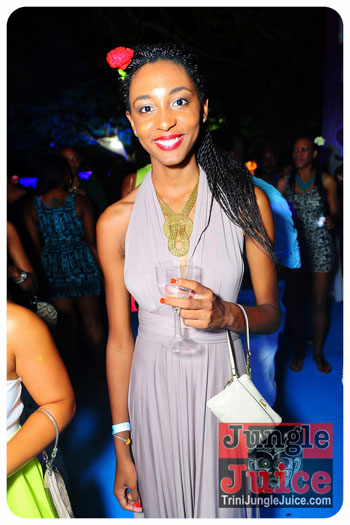 bliss_2013_pt1-117