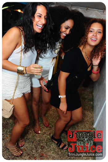 bliss_2013_pt1-126