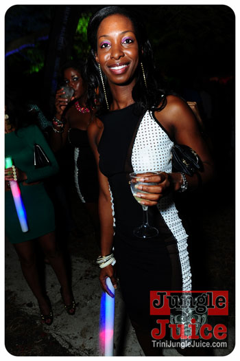 bliss_2013_pt1-132