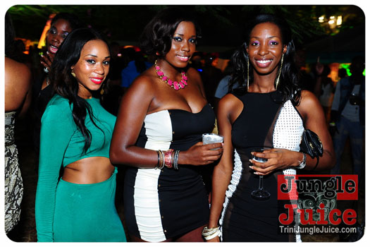 bliss_2013_pt1-133