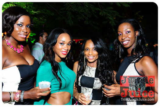 bliss_2013_pt1-134