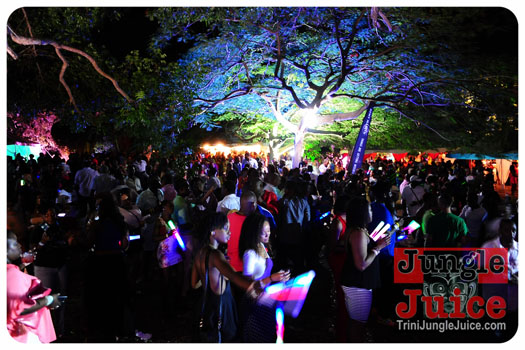 bliss_2013_pt1-184