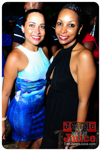 bliss_2013_pt1-234