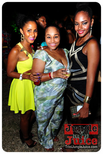 bliss_2013_pt1-245