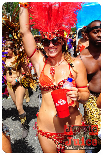 kadooment_day_2013_pt1-154