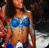 kadooment_day_2013_pt1-172