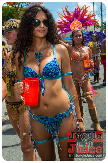 kadooment_day_2013_pt4-245