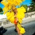 kadooment_day_2013_pt4-052